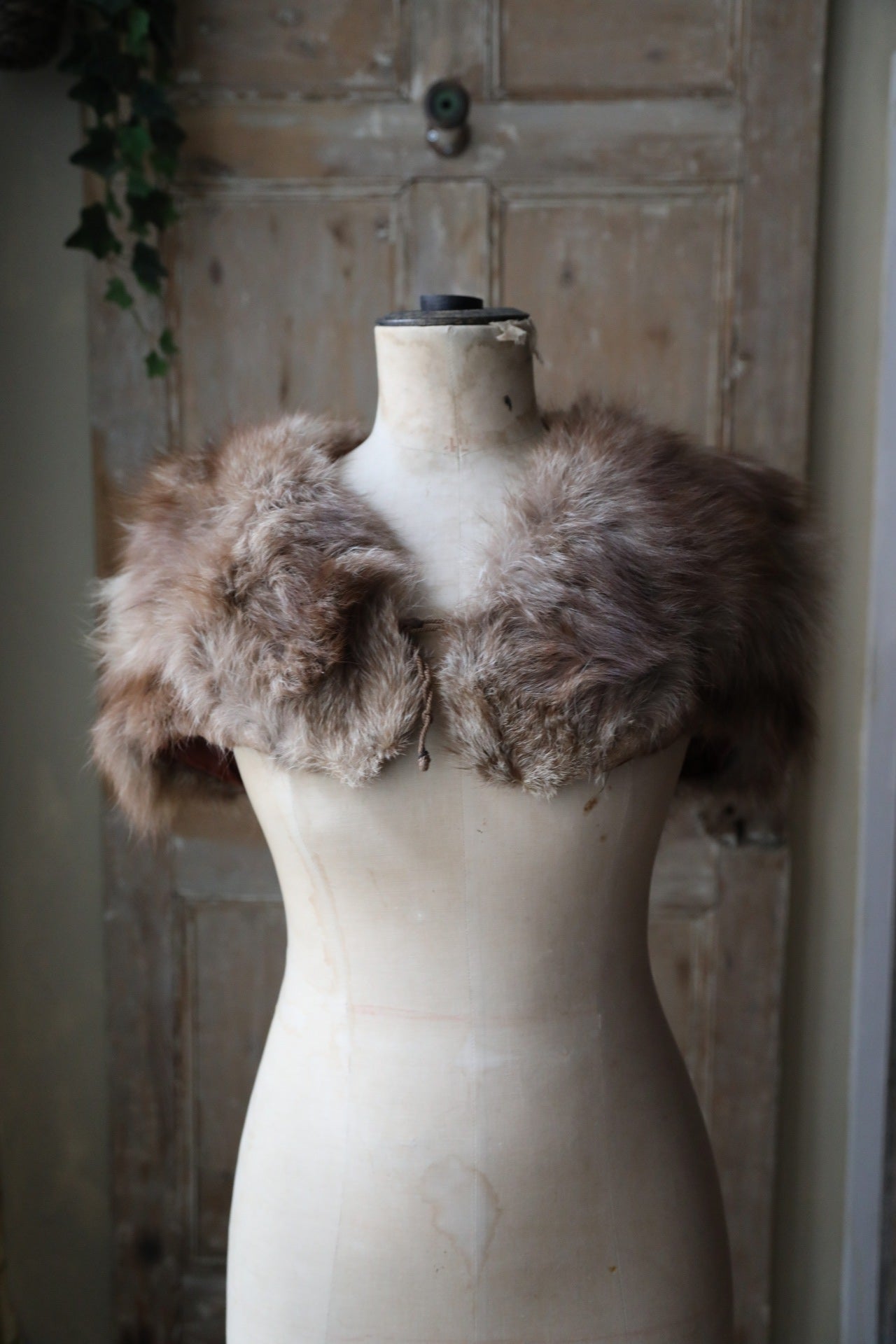 Vintage 1920s Fox Fur Capelet – Snow-Tipped Caramel Brown – Elegant Shoulder Wra