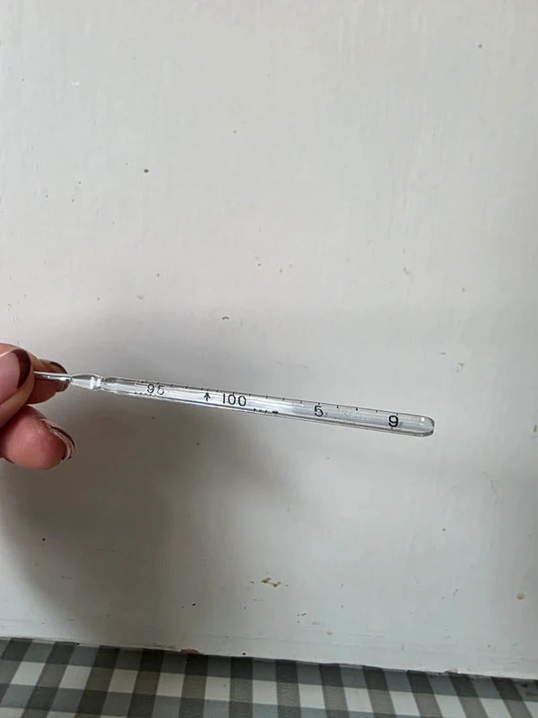 Antique 1930s–1940s Thermometer with Original Case
