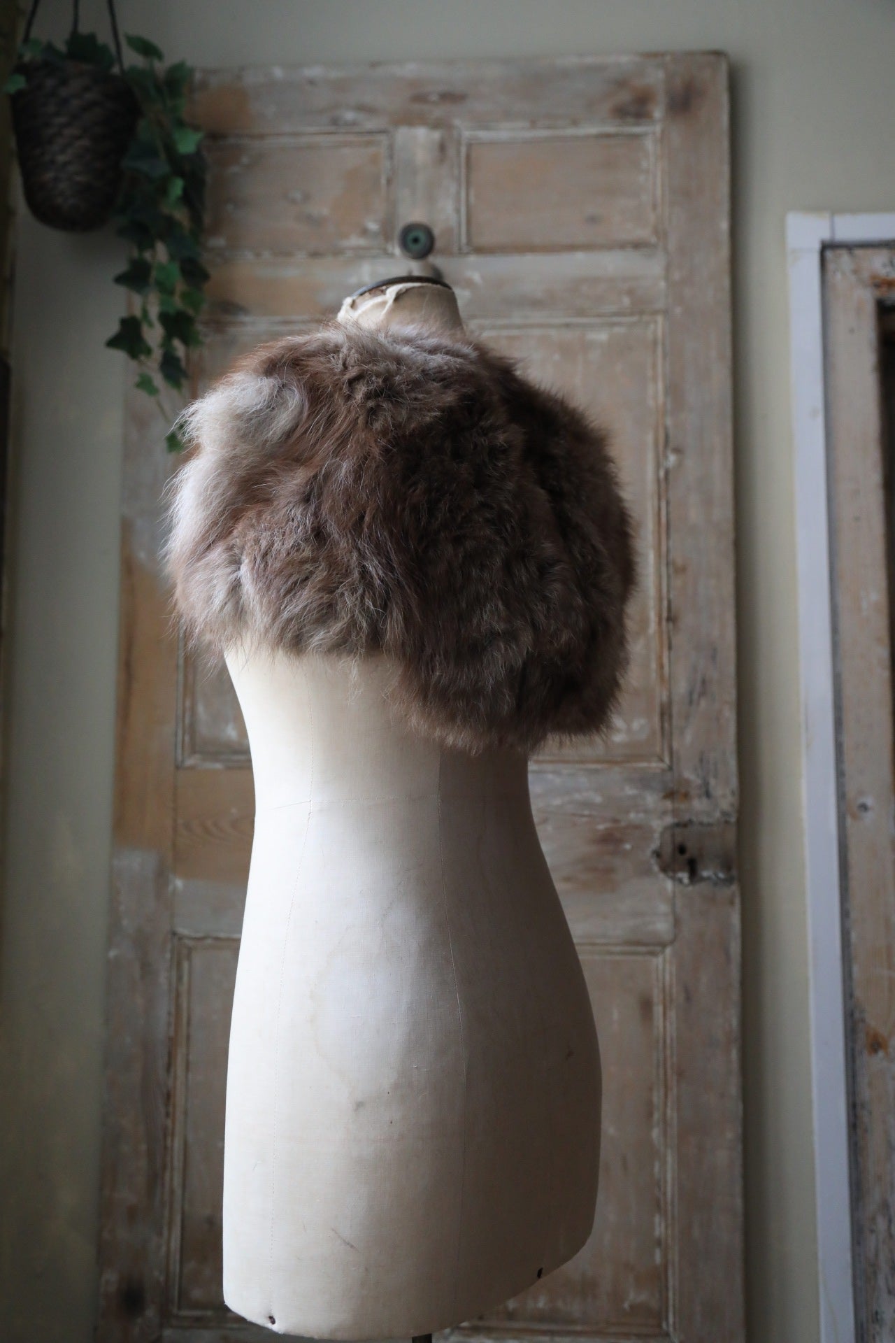 Vintage 1920s Fox Fur Capelet – Snow-Tipped Caramel Brown – Elegant Shoulder Wra