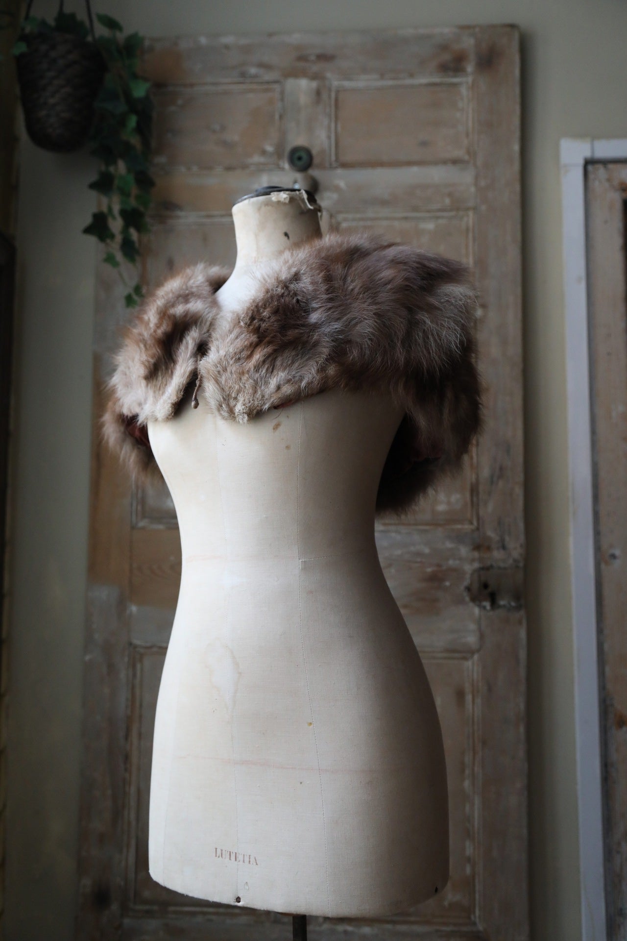Vintage 1920s Fox Fur Capelet – Snow-Tipped Caramel Brown – Elegant Shoulder Wra
