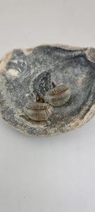 Vintage 1930s venetian glass clip on screw back earrings