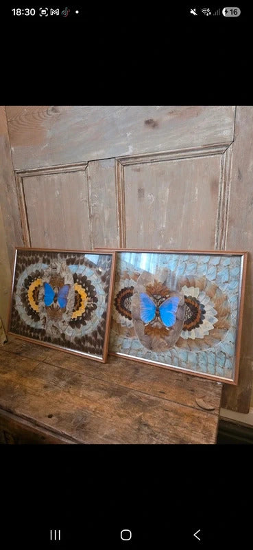 Vintage Framed Butterfly Art (Pair) c. 1970s–1980s