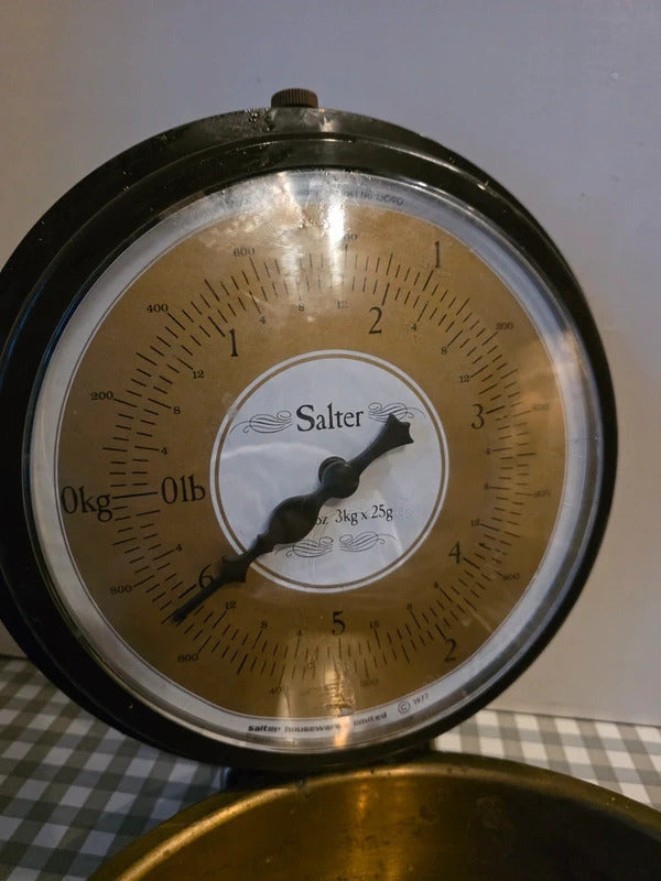 Vintage Salter Fold-Away Wall Scales c.1970s