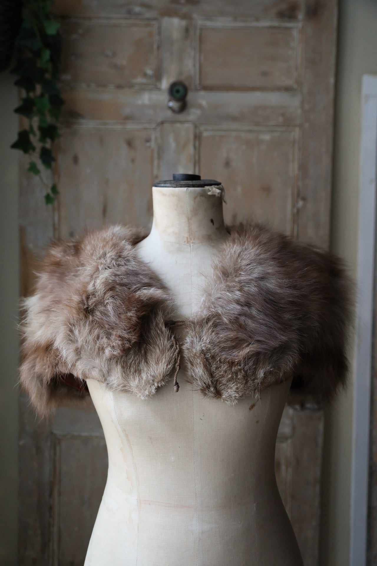 Vintage 1920s Fox Fur Capelet – Snow-Tipped Caramel Brown – Elegant Shoulder Wra