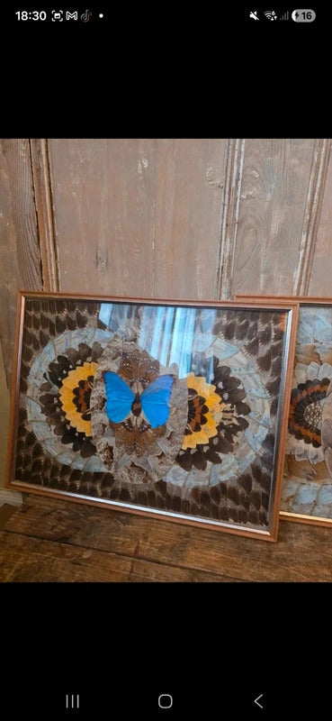 Vintage Framed Butterfly Art (Pair) c. 1970s–1980s