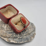 Load image into Gallery viewer, Vintage jewellery - Antique - Coral - Gold ring - 14ct
