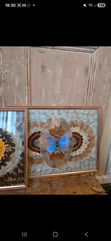 Vintage Framed Butterfly Art (Pair) c. 1970s–1980s