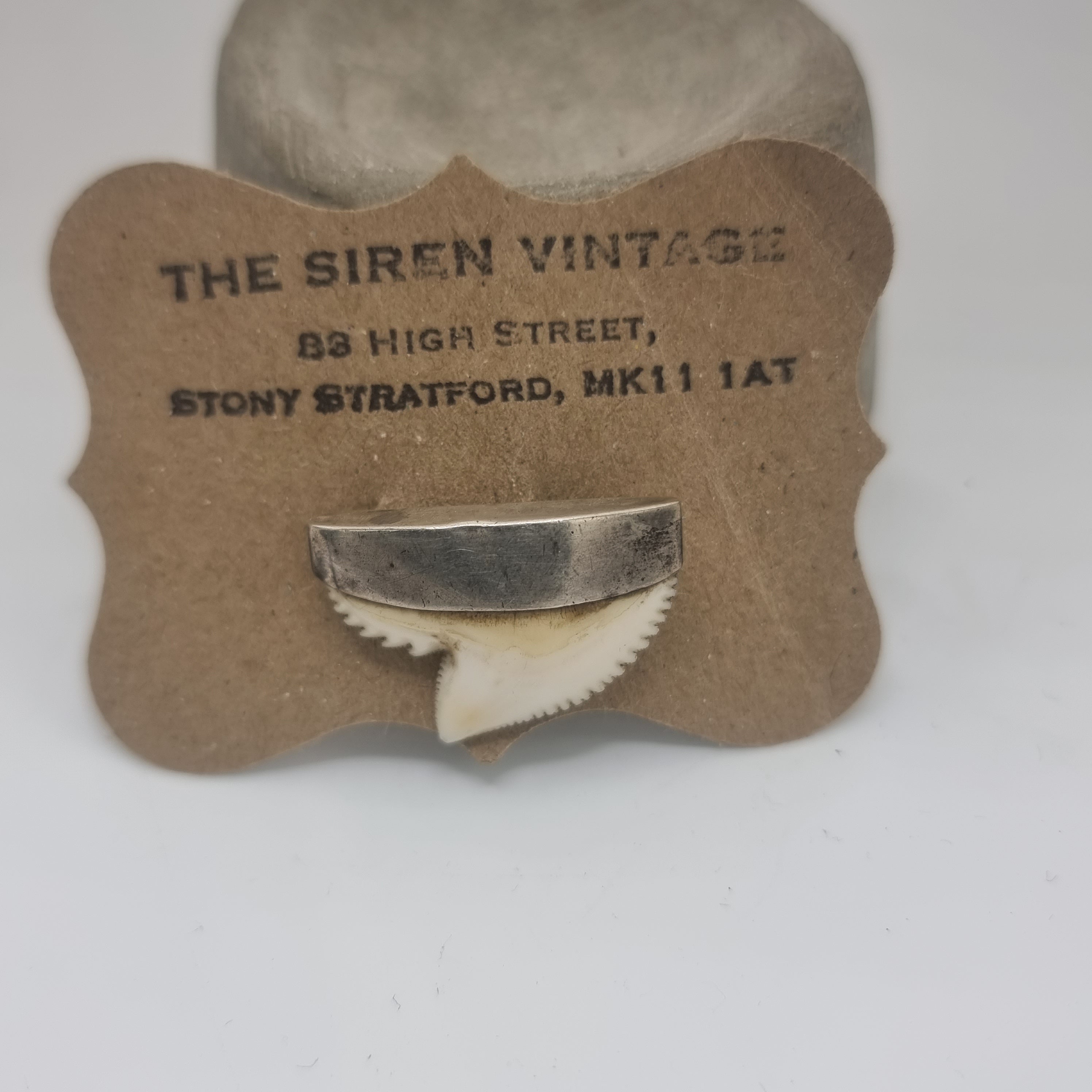 Antique Edwardian Silver Trophy Tooth brooch