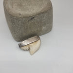 Load image into Gallery viewer, Antique Edwardian Silver Trophy Tooth brooch
